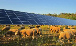 agriculteur énergies renouvelables