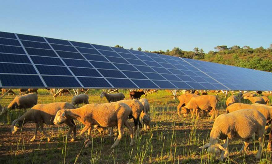 La production d’énergies renouvelables : une source de revenu intéressante pour les agriculteurs ?