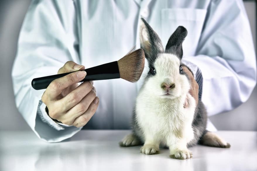 Maquillage vegan : le développement des produits respectueux des animaux