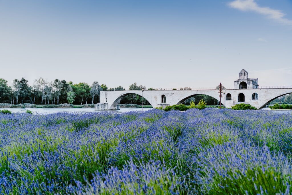 Avignon : Les joyaux de la Cité des Papes